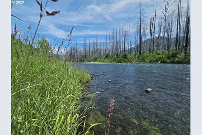 52262 McKenzie Hwy, Blue River, OR 97413 - Photo 4