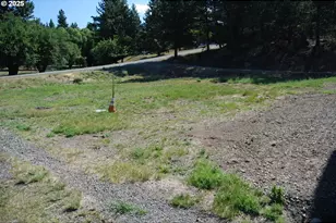 Mill St, Sumpter, OR 97877 - Photo 6