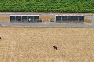 8949 S Gribble Rd, Canby, OR 97013 - Photo 44