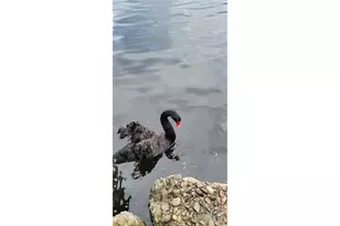 1765 Shorepines Dr, Coos Bay, OR 97420 - Photo 24