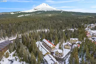 87758 E Creek Ridge Rd, Government Camp, OR 97028 - Photo 2