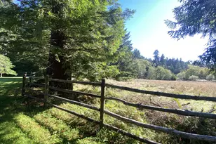 30 Winchuck River Rd, Brookings, OR 97415 - Photo 42