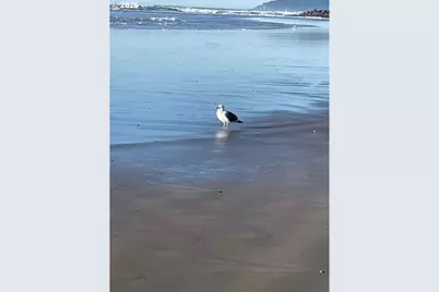 8545 Song St, Rockaway Beach, OR 97136 - Photo 20