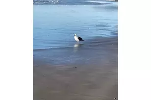 8545 Song St, Rockaway Beach, OR 97136 - Photo 20