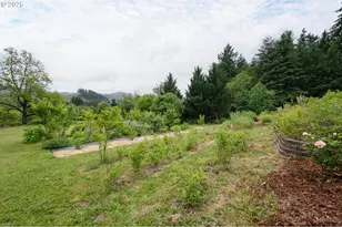44518 McKenzie Hwy, Walterville, OR 97489 - Photo 30