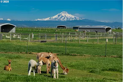 12444 SW Green Dr, Culver, OR 97734 - Photo 32