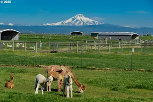 12444 SW Green Dr, Culver, OR 97734 - Photo 32