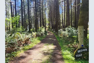 93204 Cemetery Loop Rd, Port Orford, OR 97465 - Photo 4