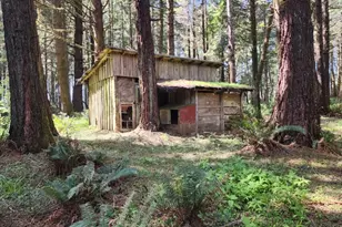 93204 Cemetery Loop Rd, Port Orford, OR 97465 - Photo 20