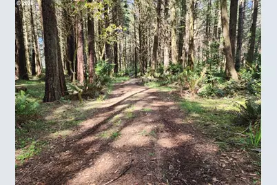 93204 Cemetery Loop Rd, Port Orford, OR 97465 - Photo 20