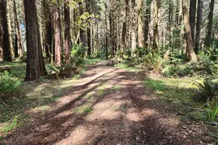 93204 Cemetery Loop Rd, Port Orford, OR 97465 - Photo 20
