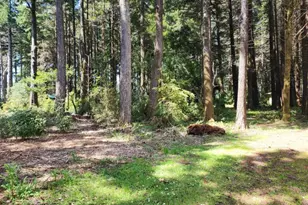 93204 Cemetery Loop Rd, Port Orford, OR 97465 - Photo 14