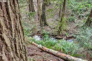 36690 SE Yoder Dr, Estacada, OR 97023 - Photo 40
