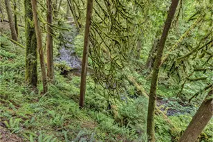 26467 E Henry Creek Rd, Rhododendron, OR 97049 - Photo 2