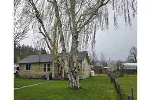 206 S Spruce St, Wallowa, OR 97885 - Photo 10