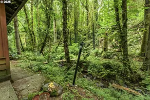 5830 NW Cornell Rd, Portland, OR 97210 - Photo 34