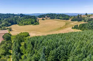 0 Lafayette Hwy, Dayton, OR 97114 - Photo 1