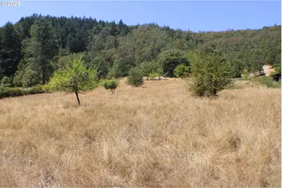 3450 Shoestring Rd, Riddle, OR 97469 - Photo 40