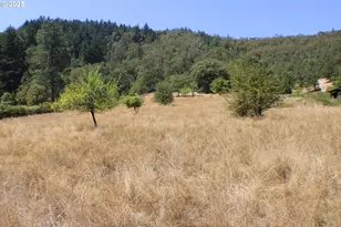 3450 Shoestring Rd, Riddle, OR 97469 - Photo 40