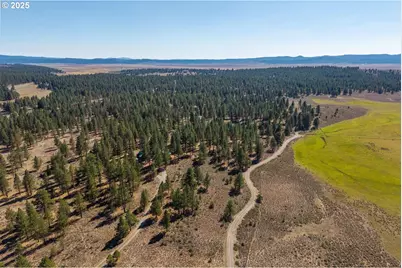 20779 Bear Gulch Rd, Canyon City, OR 97820 - Photo 6