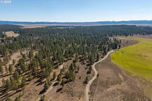 20779 Bear Gulch Rd, Canyon City, OR 97820 - Photo 6