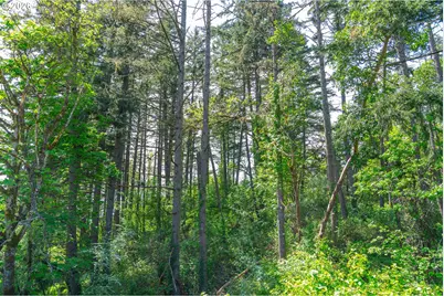 Maple Ave, Sutherlin, OR 97479 - Photo 38