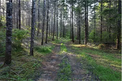 0 Ervin Rd, Philomath, OR 97370 - Photo 6