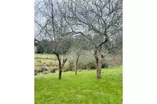 922 Fern Pl, Reedsport, OR 97467 - Photo 6