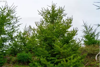 00 Erickson (Tl300) Rd #300, Eugene, OR 97405 - Photo 12