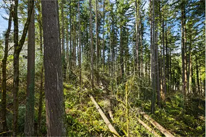 4937 SW Humphrey Park Rd, Portland, OR 97221 - Photo 32