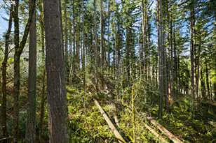 4937 SW Humphrey Park Rd, Portland, OR 97221 - Photo 32