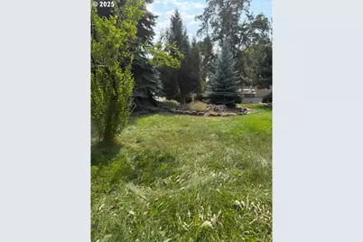 141 E Bryan Ave, Union, OR 97883 - Photo 6
