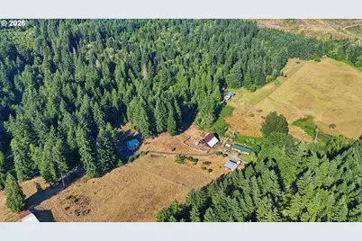 20002 NE Cedar Creek Rd, Amboy, WA 98601 - Photo 4