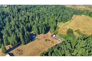 20002 NE Cedar Creek Rd, Amboy, WA 98601 - Photo 4