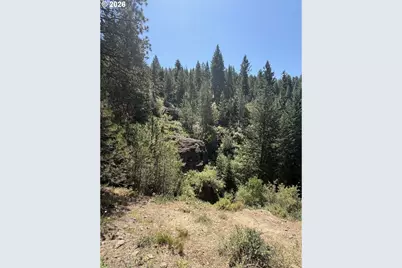 0 Usfs 2036, Union, OR 97883 - Photo 4