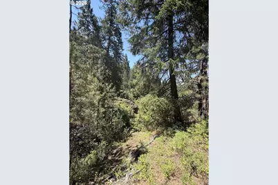 0 Usfs 2036, Union, OR 97883 - Photo 8