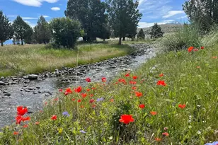 27847 Pine Creek Rd, John Day, OR 97845 - Photo 36