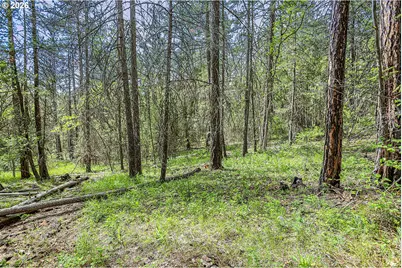 Nka Forest Glen Dr #37, Goldendale, WA 98620 - Photo 2
