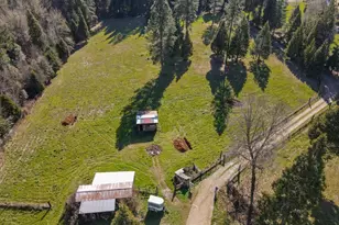 331 Hobbs Ln, Glendale, OR 97442 - Photo 38