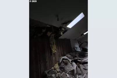 235 Bilger Creek Rd, Myrtle Creek, OR 97457 - Photo 8