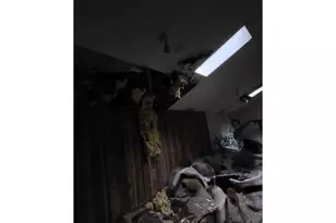 235 Bilger Creek Rd, Myrtle Creek, OR 97457 - Photo 8