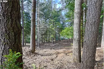 0 Newmark St, North Bend, OR 97459 - Photo 6