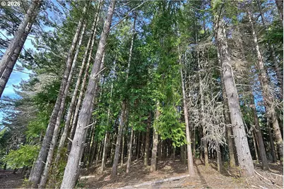 0 Newmark St, North Bend, OR 97459 - Photo 8