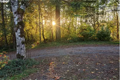 17808 NE Cedar Creek Rd, Amboy, WA 98601 - Photo 12
