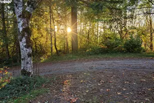 17808 NE Cedar Creek Rd, Amboy, WA 98601 - Photo 12