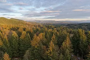 17808 NE Cedar Creek Rd, Amboy, WA 98601 - Photo 20