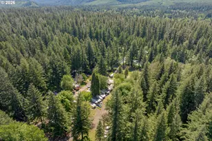 55636 McKenzie River Dr, Blue River, OR 97413 - Photo 24