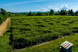 23301 SW (23220) McKibben Rd, Sheridan, OR 97378 - Photo 26