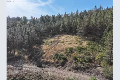 1250 Dry Creek Rd, Mosier, OR 97040 - Photo 2