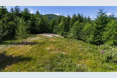 202 Pineridge Dr, Woodland, WA 98674 - Photo 8